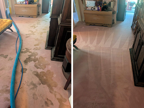 Carpet Cleaning Agoura Hills